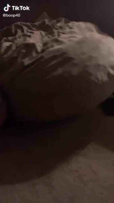 Had to slow mo it because 🐱