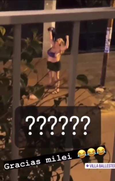 Aguante Milei loco no me importa nada