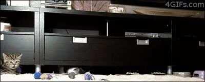 Initiating interdimensional travel protocols in 3, 2, 1...