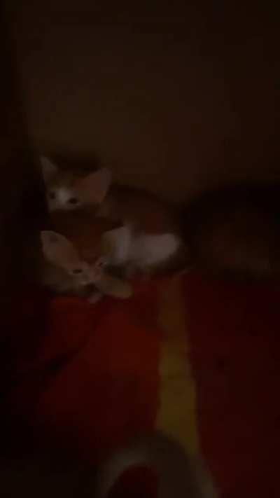 Least awesome nightclub in the middle east 😎😎