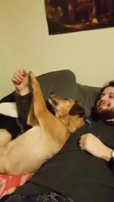 We’re Just Gonna Put That Riiiight Back Here.