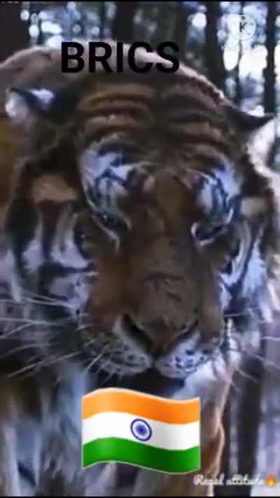 Attention, [B.R.I.C.S] Post going on in your Timeline 😎🤚