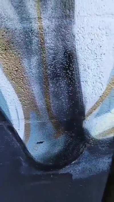 Recently painted this mural in Tennessee trying to replicate the style of my paintings.