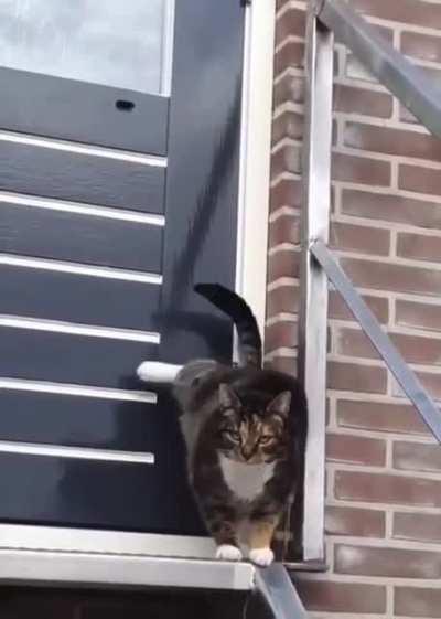 open the door, i'm here