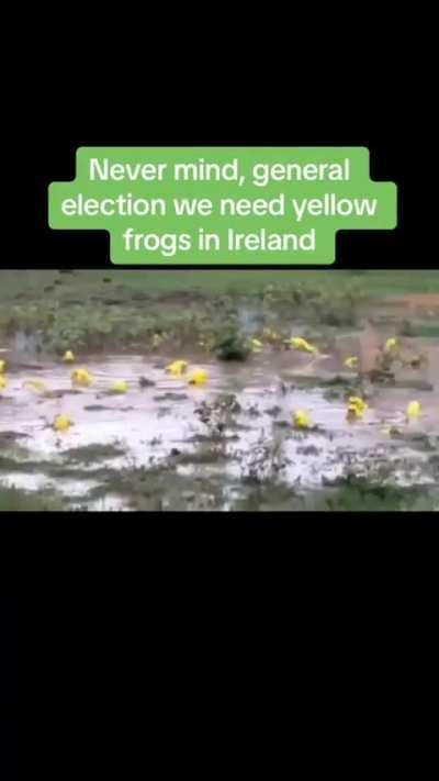 Meanwhile in Ireland... 