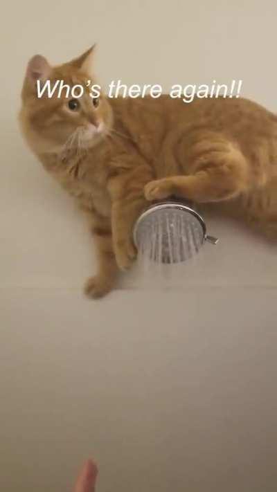 Checking the water temp