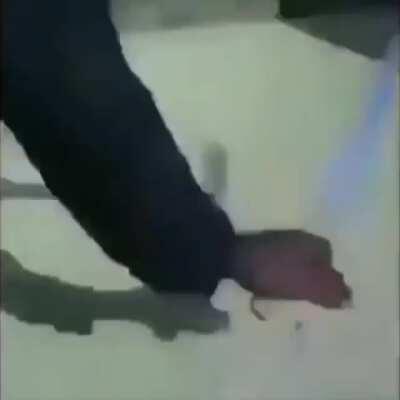 la clemencia es una opción que tu no tienes