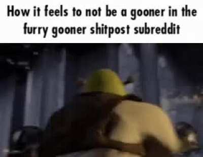 Losercity Lobotomies are People Too