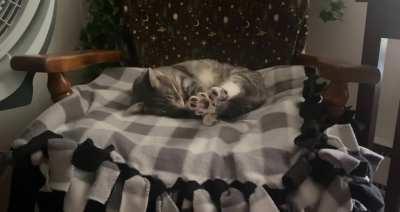 I would die for her beans