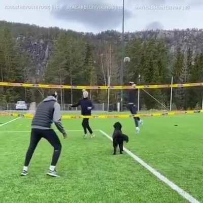 The other team never stood a chance