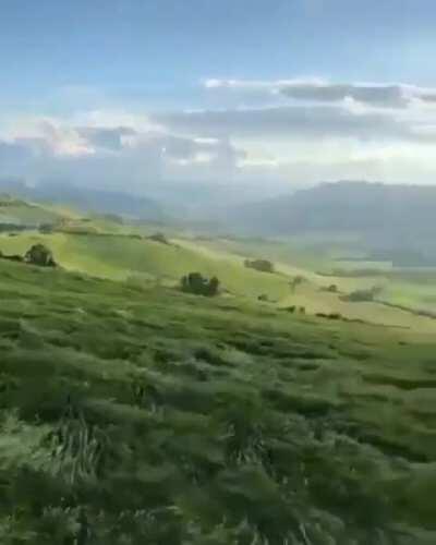 Wind Across The Grass