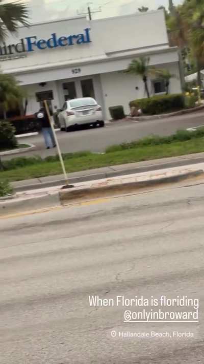 Lady jumps off the top of the car into the bushes like nothing happened.