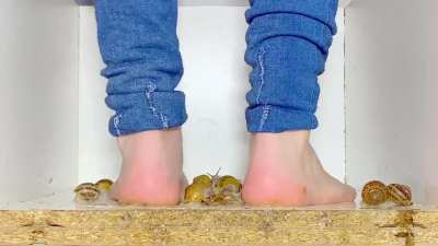 Snail Stomp