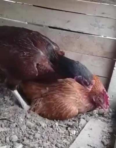 Are you not watching your child? Remember forever