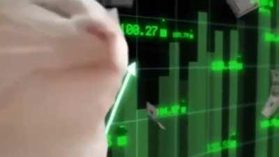 Cat is looking forward soon