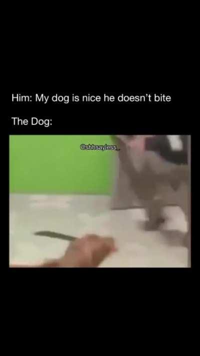 When someone says my dog doesn't bite🤣🤣