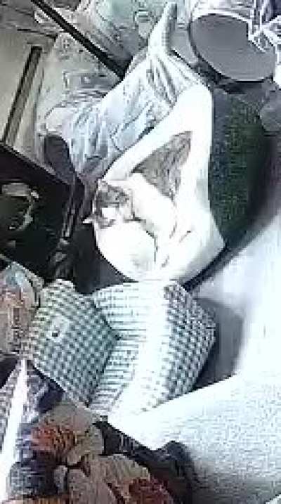 Rumplestiltskin startled herself awake and then some