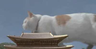 Where do you want to travel the most?