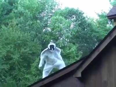 hope yall enjoyed halloween