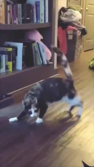 Stumbled upon this GIF and knew exactly where to put it.