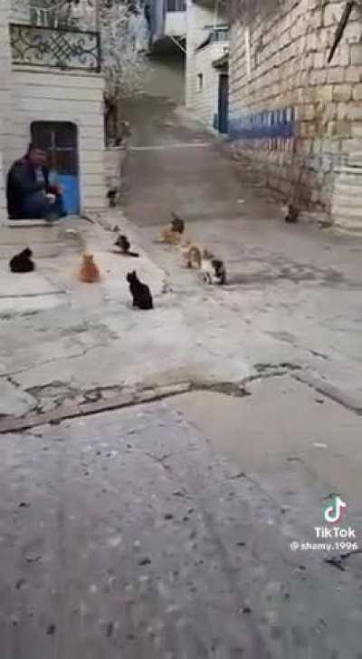 Khutba on how to be a better meowslim