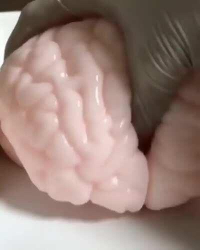 Cursed_brain
