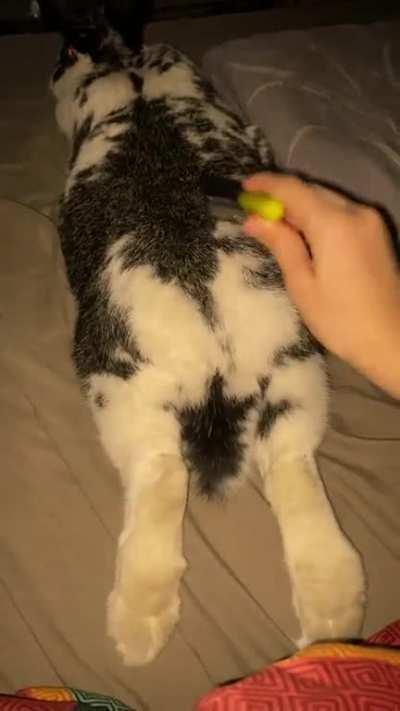 spa day for the princess 