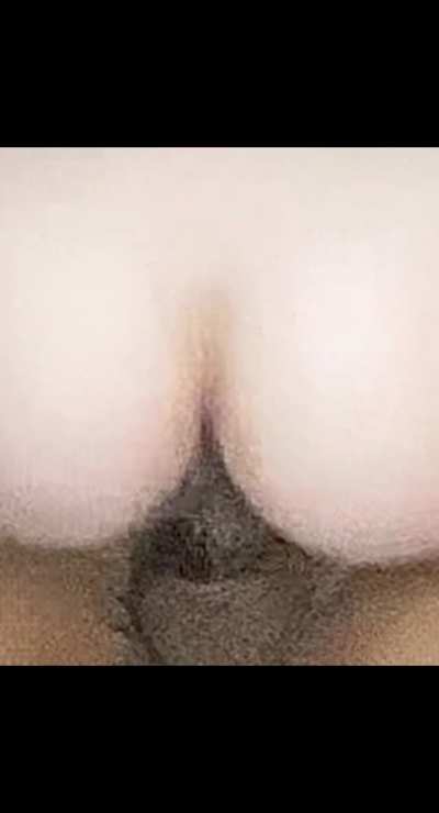 MF 4 Couple AKL / Waikato