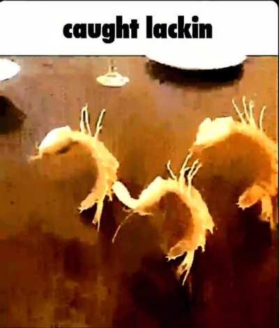 Bob Wicks took you to the Father-Daughter dance