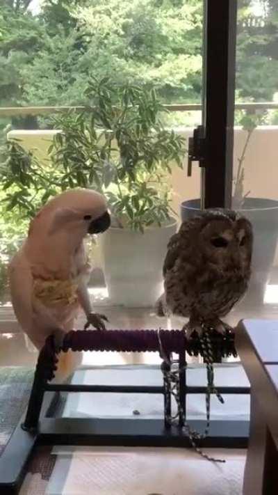 What do you want from me?