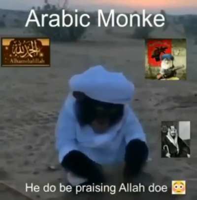 احترام القرد 😌🙏