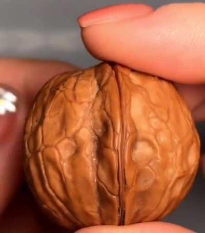 Diorama made inside a walnut shell