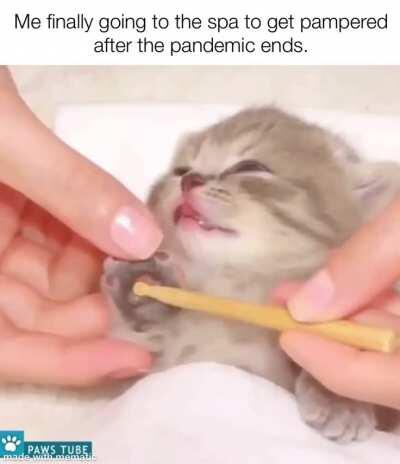 It’s gonna be nice