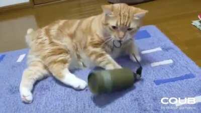 Whatchu got there lil' fella?