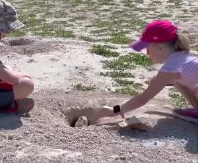 Never let anyone know your next move.