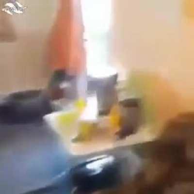 What a great morning toda-