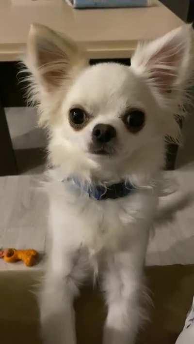 That’s how he asks for food.