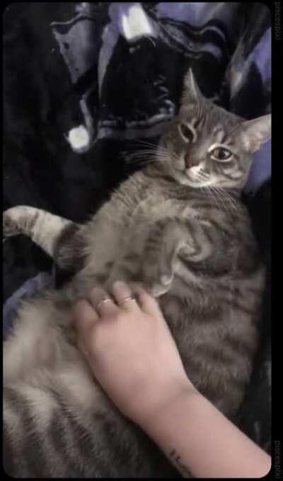 that slap was so.... intentional.