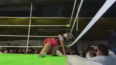 Persephone gets dropkicked in the corner by Amber