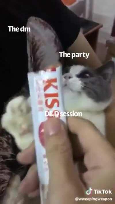 I finally got a taste of D&D my first session was amazing and i want more! So i made this meme