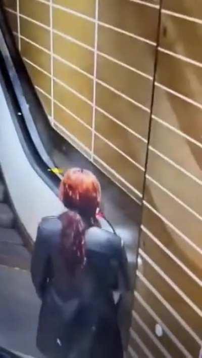 They lied to us the whole time