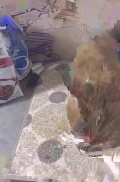 Ο αμ γοναλλι δτρρ!!