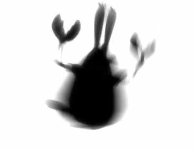 Please help me find the original creator of this!