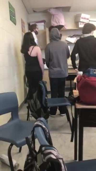 Climbing into the roof seems like a great idea!