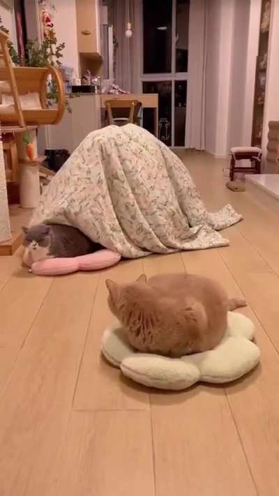 How sleeping processes are terminated