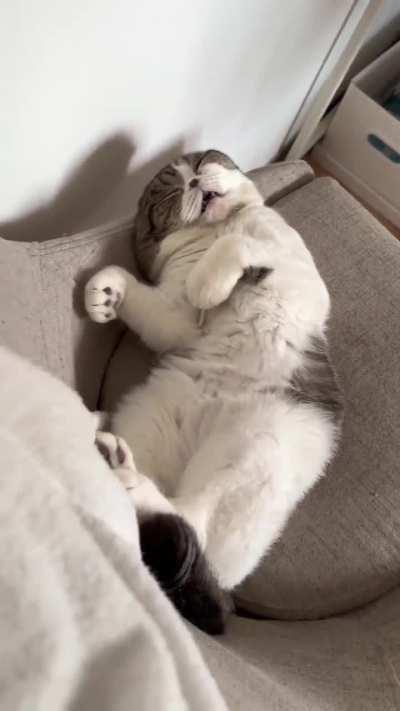 He snores like a human