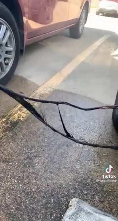 HMC while I put on the cables backwards