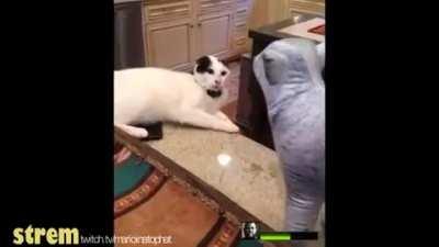 Coach why did you start the witch >:(