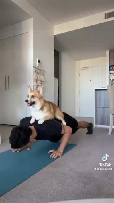 This was a quick corgo lockdown workout last year