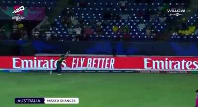 Was Australia really trying to lose or just a bad day in field?